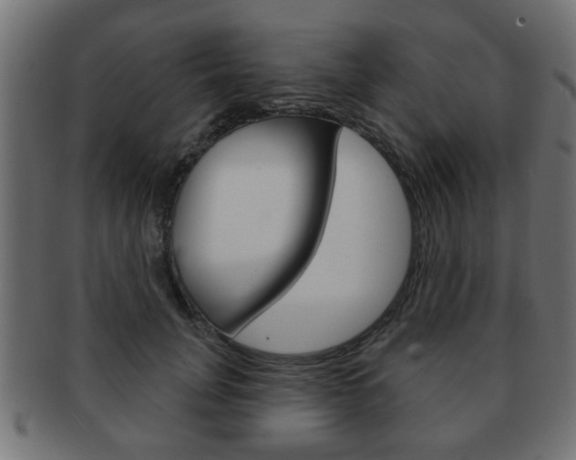 X0000091990751200709061220