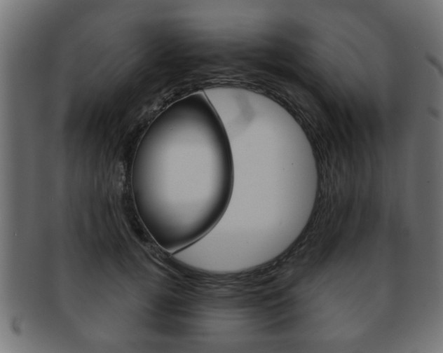 X0000091990752200709061220