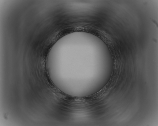 X0000091990753200709061220
