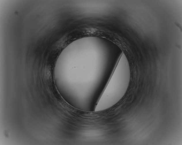 X0000091990754200709061220