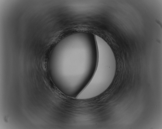 X0000091990755200709061220