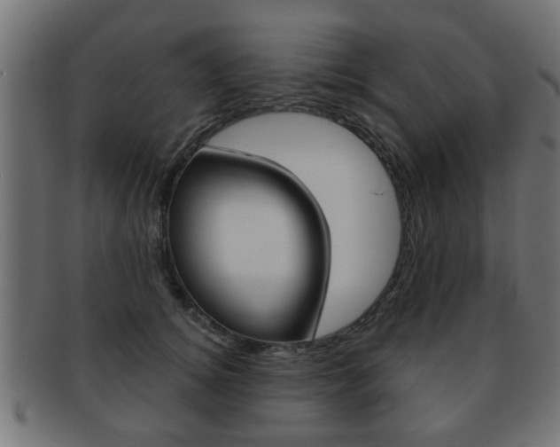 X0000091990756200709061220