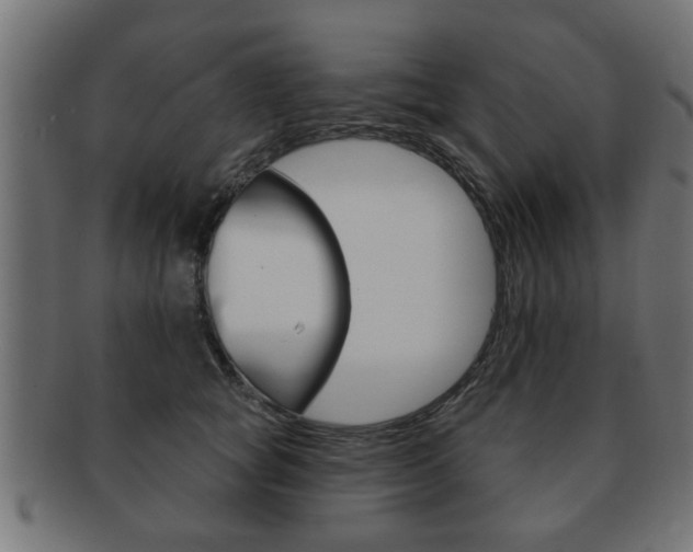 X0000091990757200709061220