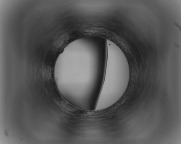 X0000091990758200709061220