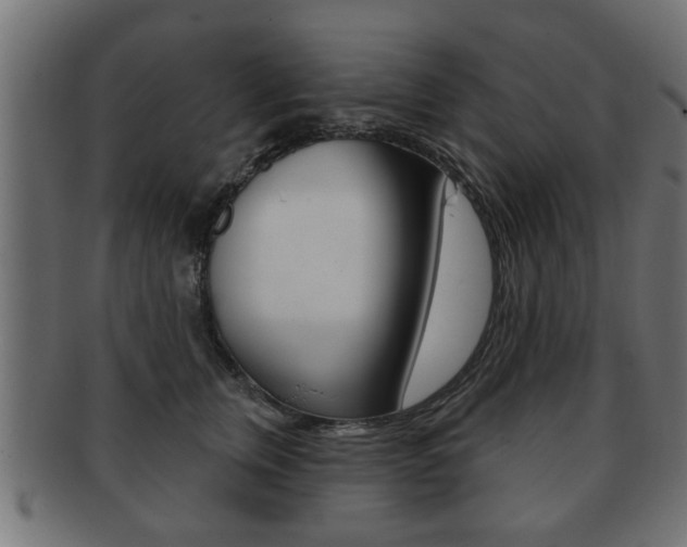 X0000091990759200709061220