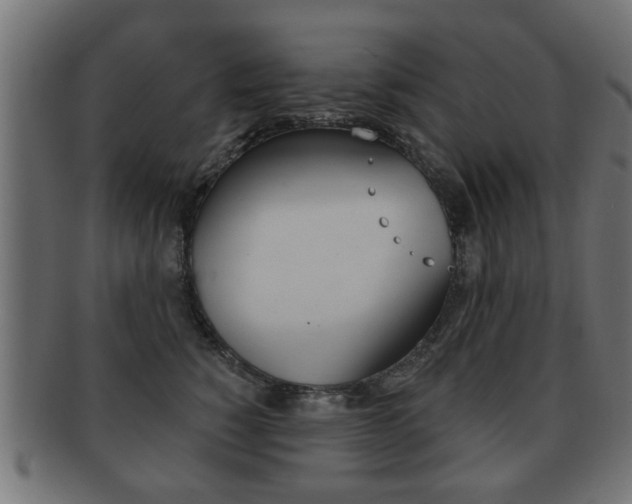 X0000091990760200709061220