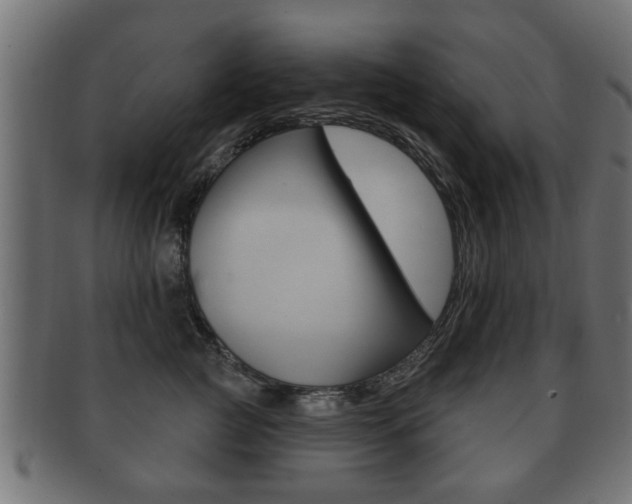 X0000091990761200709061220