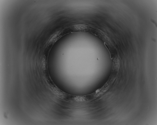 X0000091990762200709061220