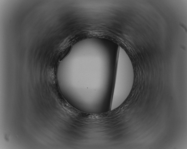 X0000091990764200709061220
