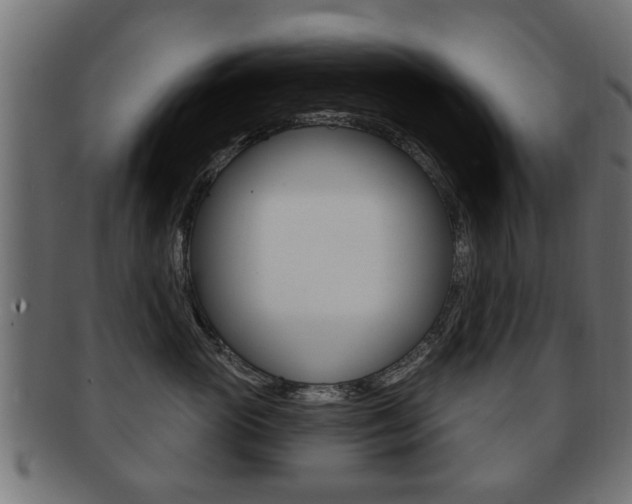X0000091990765200709061220