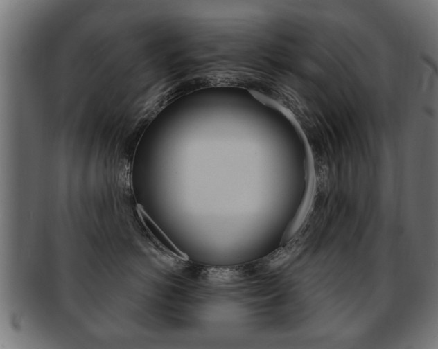 X0000091990766200709061220