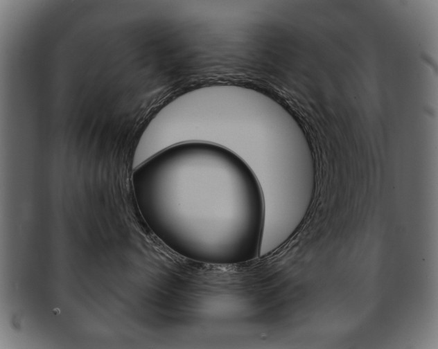 X0000091990768200709061220