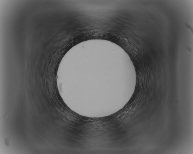 X0000091990769200709061220