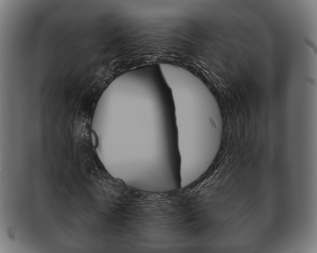 X0000091990770200709061220