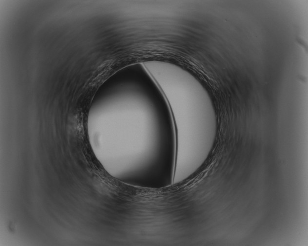 X0000091990771200709061220