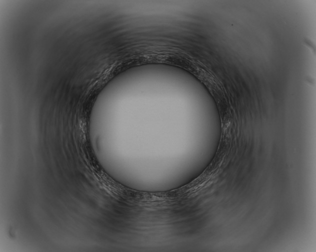 X0000091990772200709061220