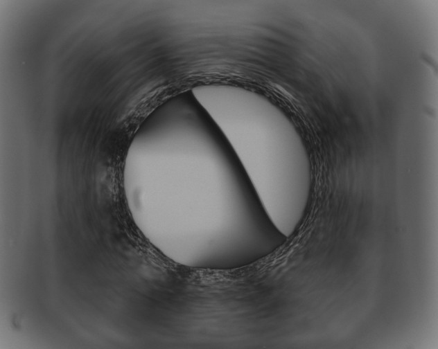 X0000091990774200709061220