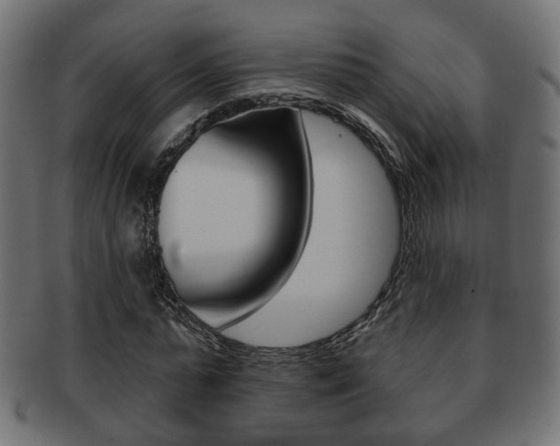 X0000091990775200709061220