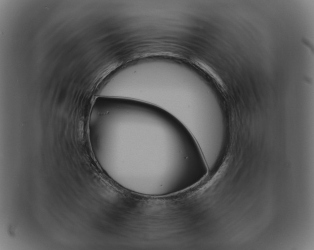 X0000091990777200709061220