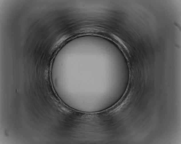 X0000091990778200709061220