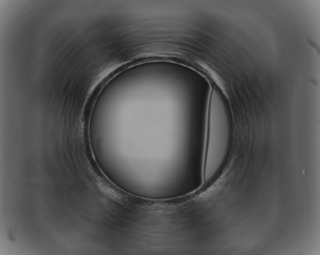 X0000091990779200709061220