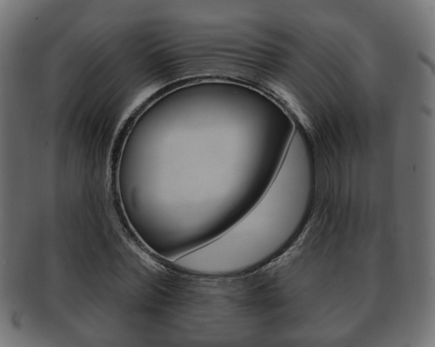 X0000091990780200709061220