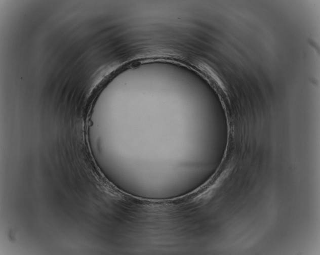 X0000091990781200709061220