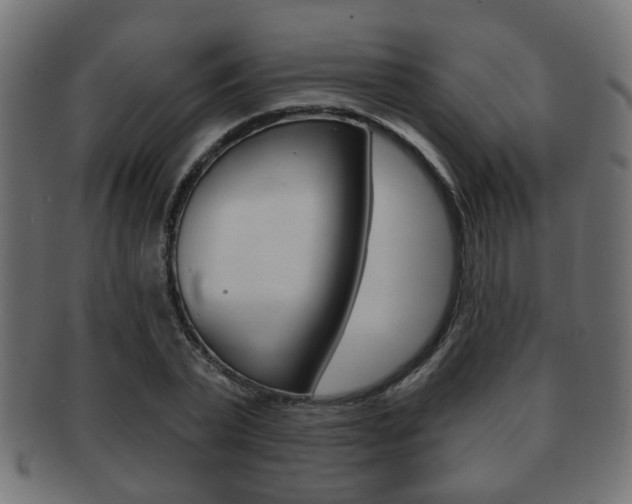 X0000091990783200709061220