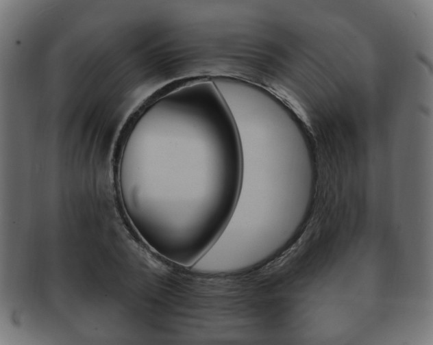 X0000091990784200709061220