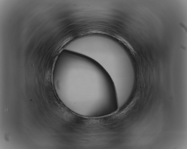 X0000091990785200709061220