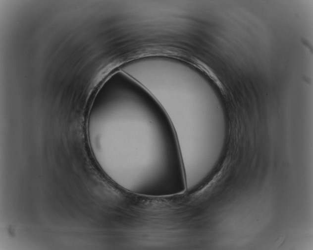 X0000091990786200709061220
