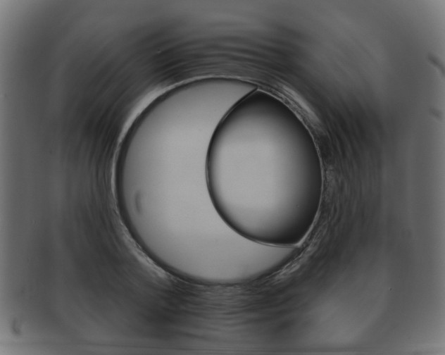 X0000091990788200709061220