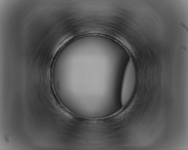 X0000091990790200709061220