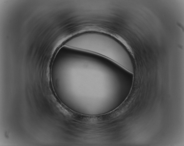 X0000091990791200709061220