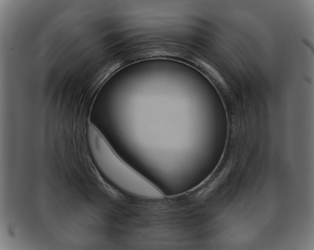 X0000091990793200709061220