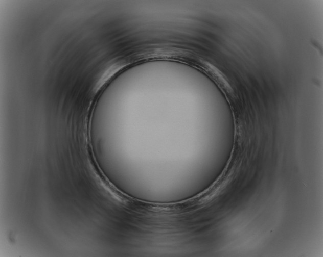 X0000091990794200709061220