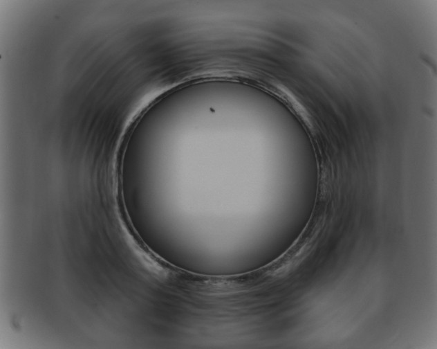 X0000091990795200709061220