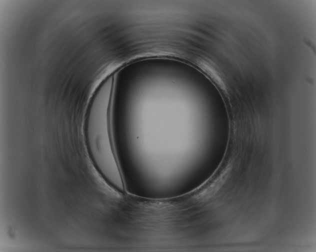 X0000091990797200709061220