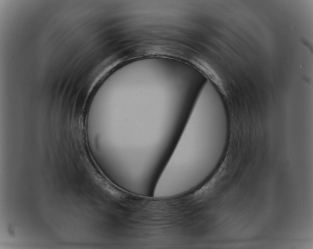X0000091990798200709061220