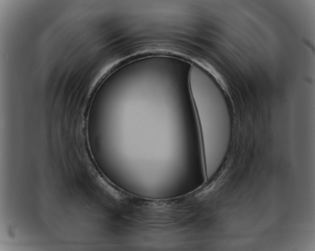 X0000091990799200709061220