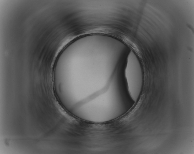 X0000091990800200709061220