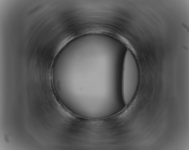 X0000091990802200709061219