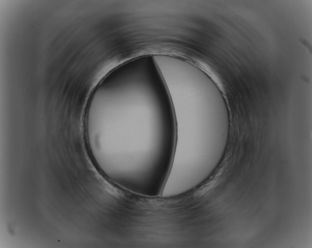 X0000091990803200709061219