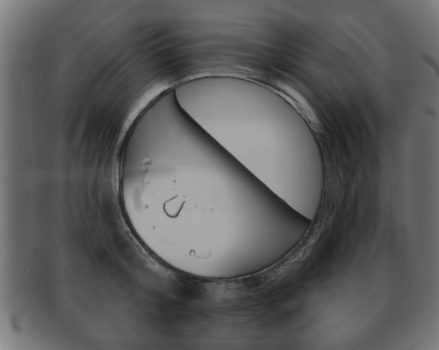 X0000091990804200709061219