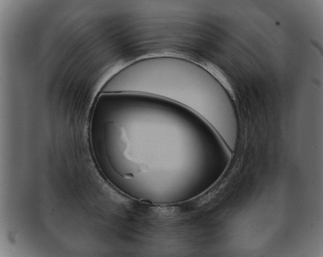 X0000091990805200709061219