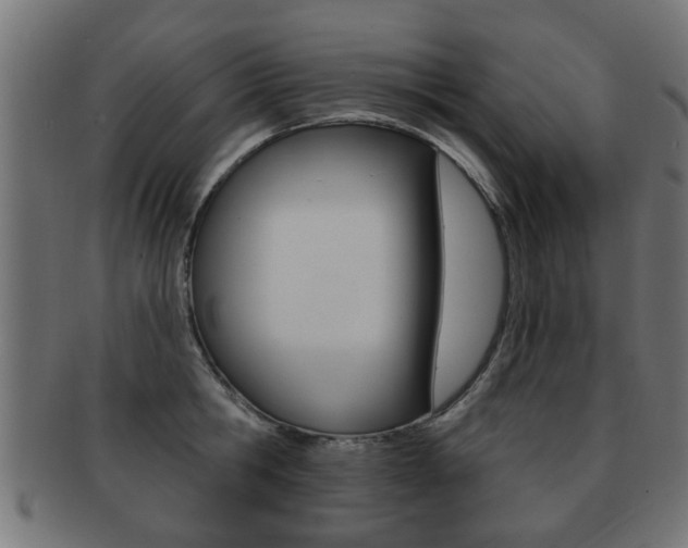 X0000091990806200709061219