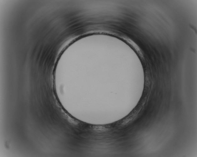X0000091990807200709061219