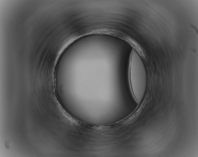X0000091990808200709061219