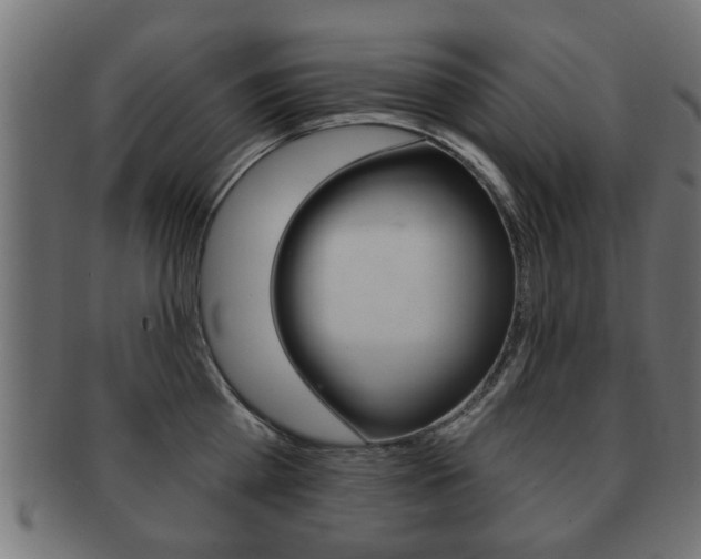 X0000091990809200709061219