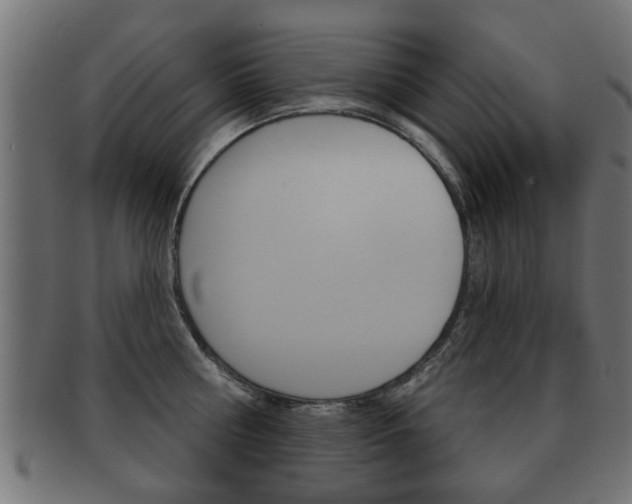 X0000091990810200709061219